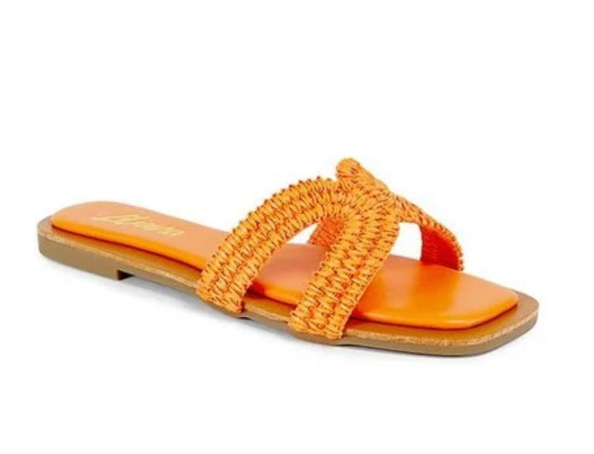 Orange Slides