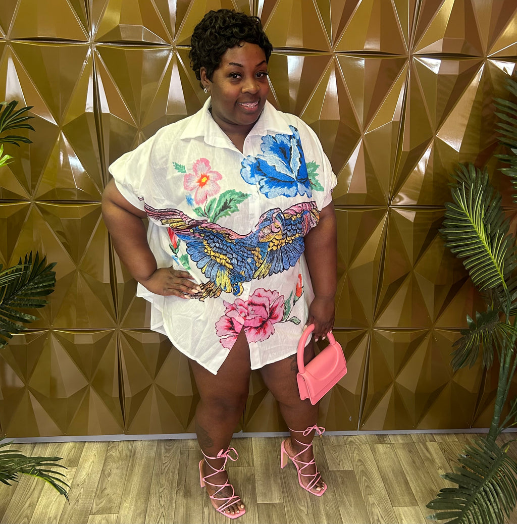 Multi Shirt/Dress